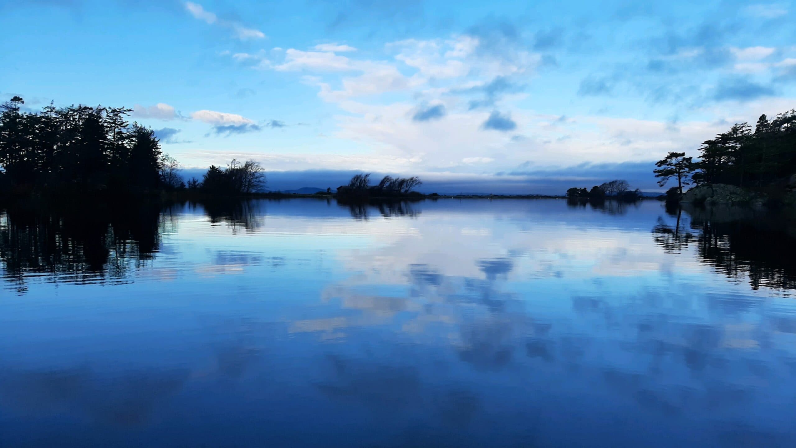 A Beginner’s Guide to Winter Steelheading