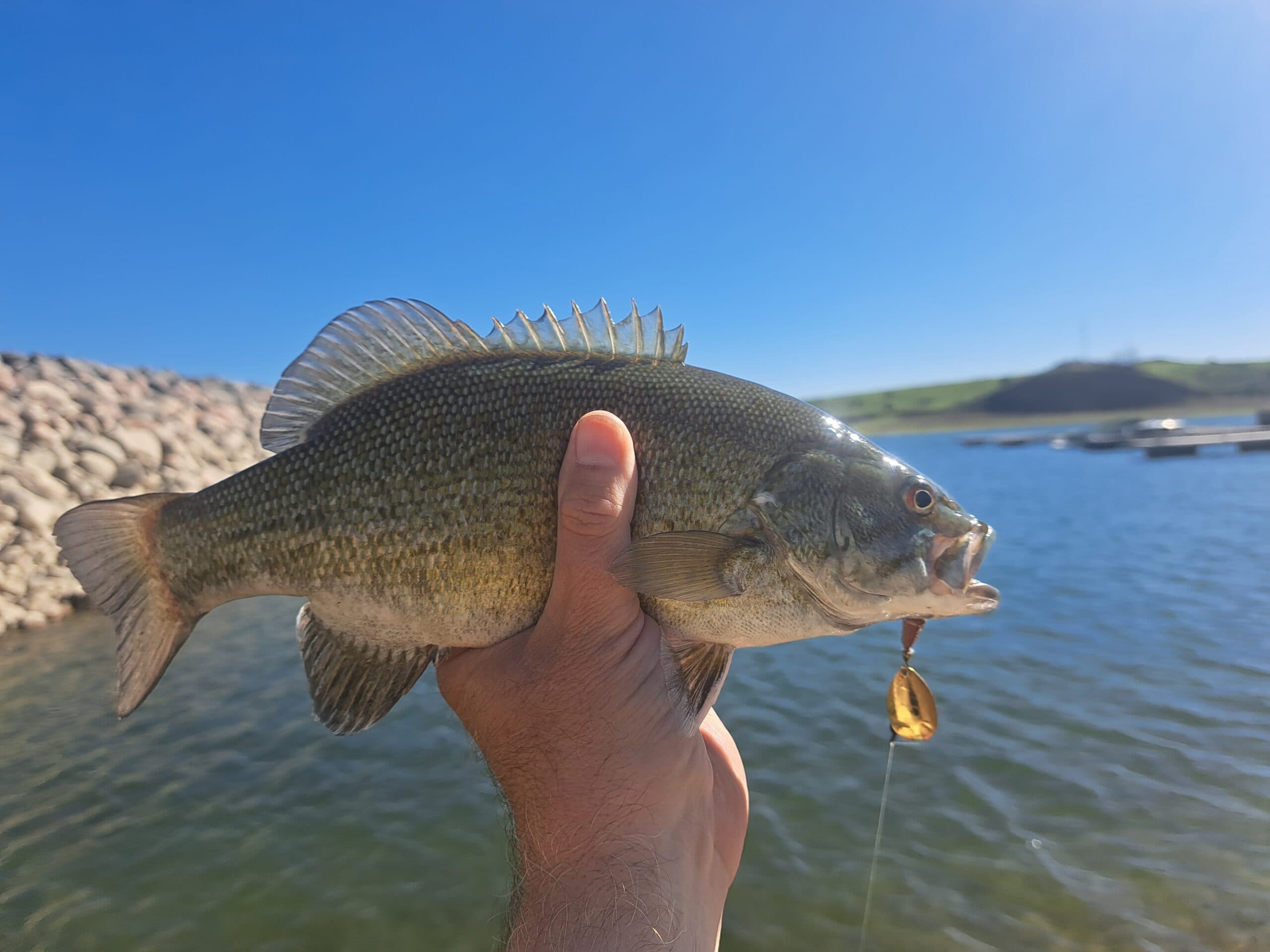 FORT PECK RESERVOIR’S PLETHORA OF FISHERIES
